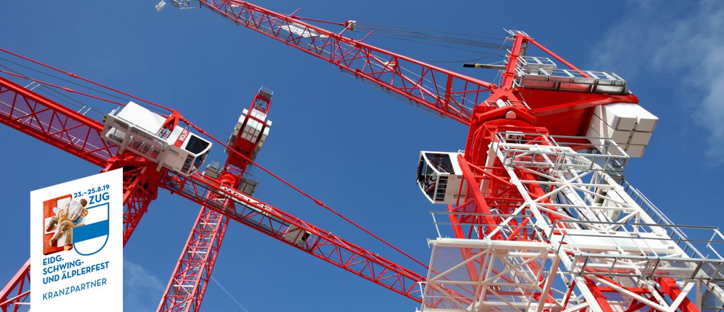 <h4>The leader of the pack</h4>