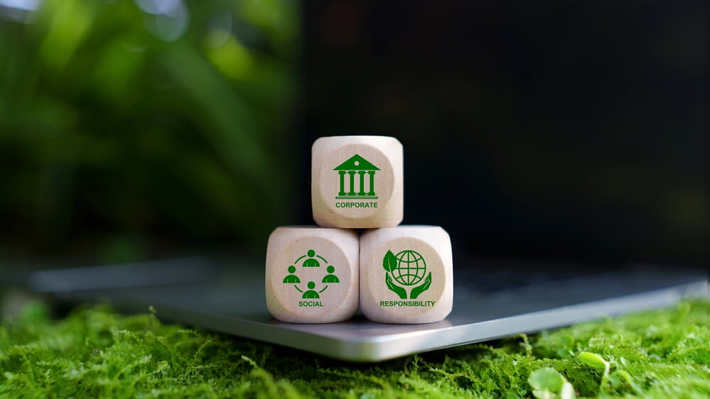 Corporate governance